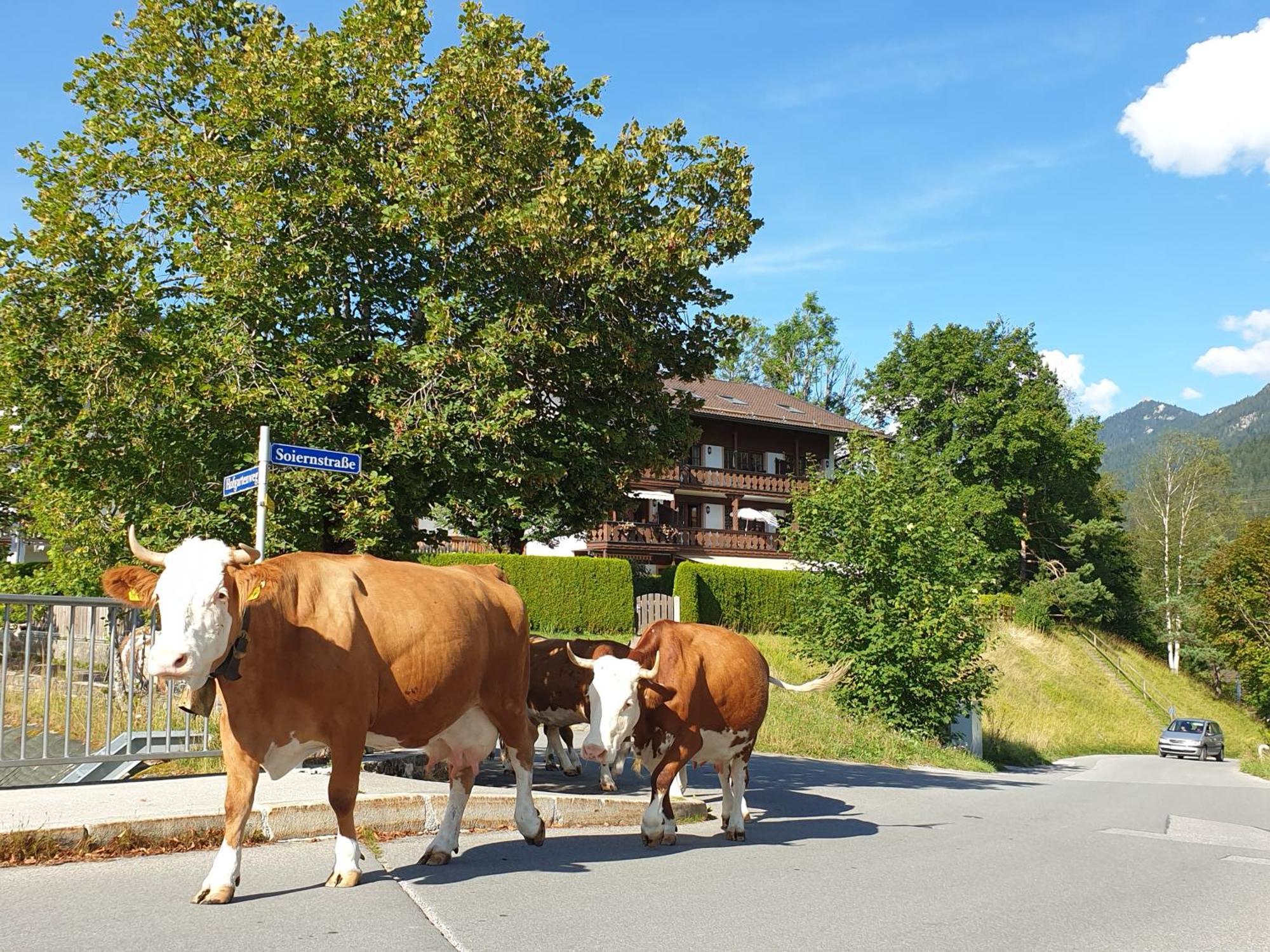 Appartamento Haus Abendsonne Familie Druxes Krün Esterno foto